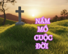 Nấm mồ cuộc đời