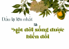 Dấu lạ lớn nhất là một đời sống được biến đổi 