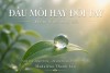  Đầu môi hay đôi tay