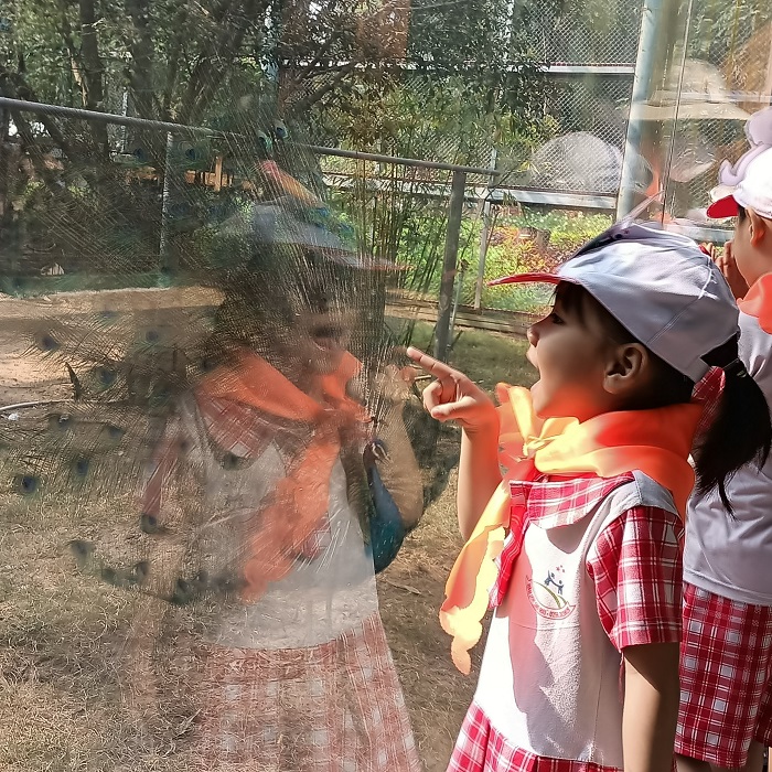Các bạn Khối Lá Trường Mầm Non Sao Mai tham quan vườn thú FLC