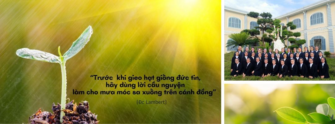 Banner-đẹp