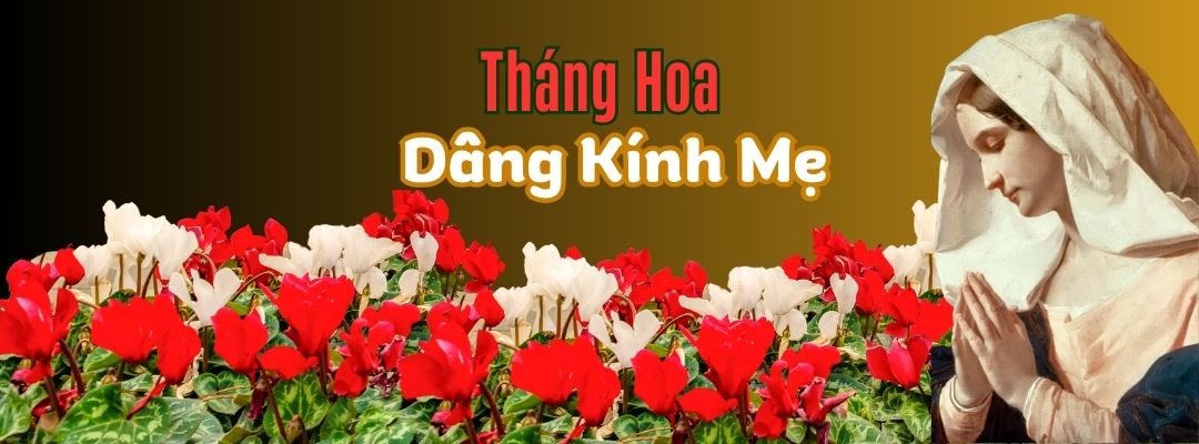Banner-thang5-2025
