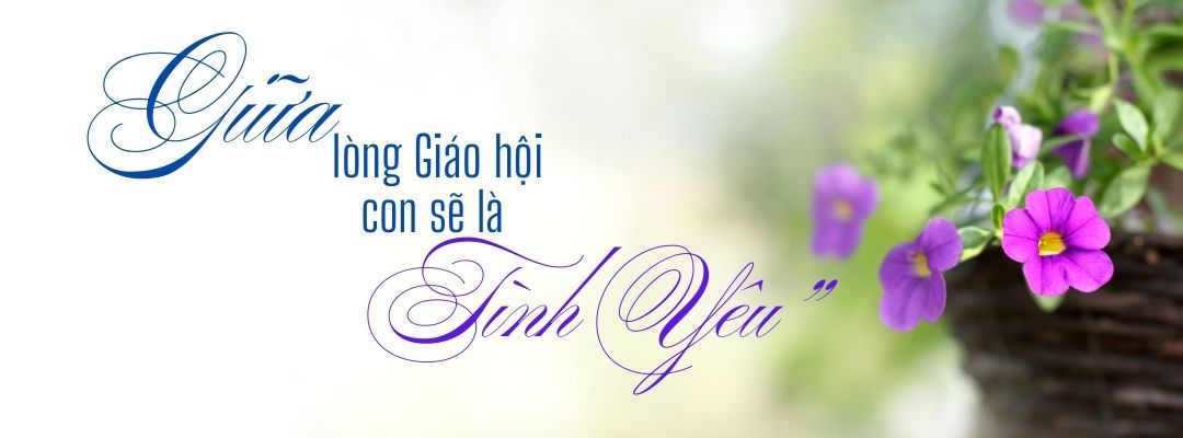Banner-thang5-2025